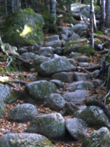 Hunt Trail - Baxter State Pk