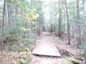 Hunt Trail start2