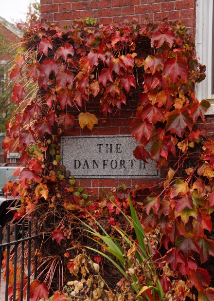 Danforth plaque